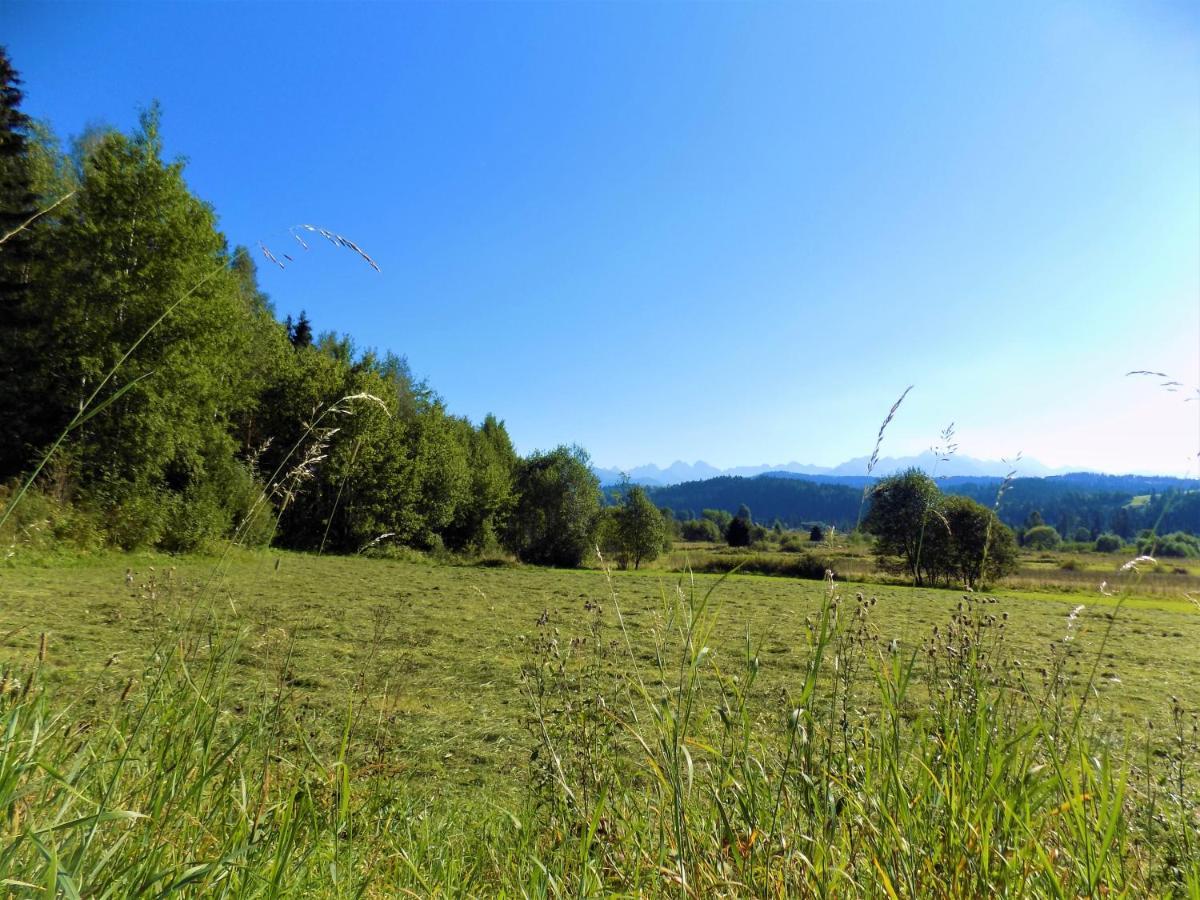 Pokoje u Teresy Czarna Góra Exteriér fotografie